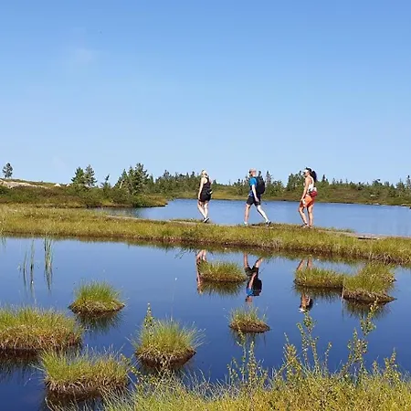 Modern Light Neo On Bjefell Σπίτι διακοπών Svene