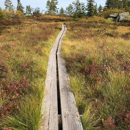 Σπίτι διακοπών Modern Light Neo On Bjefell Svene